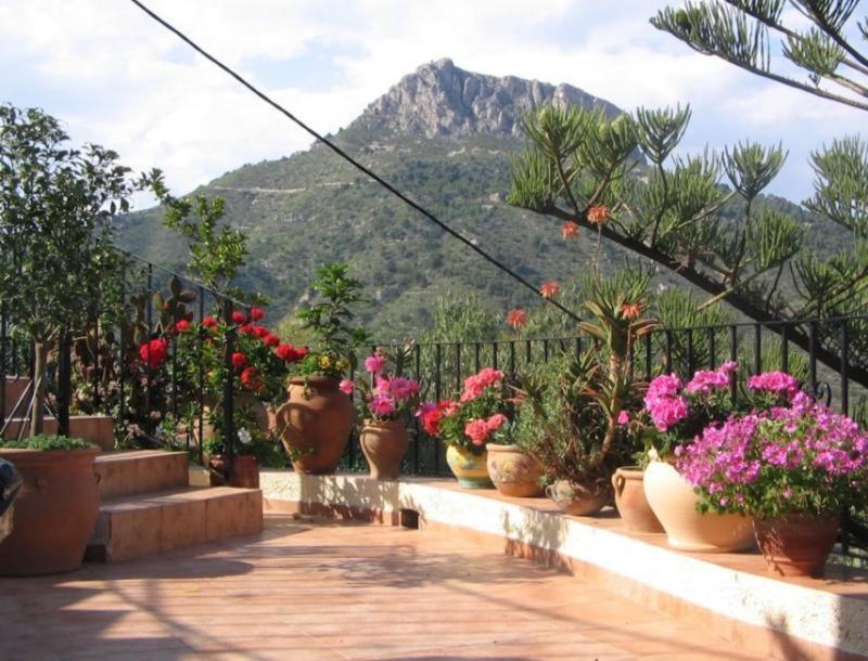 Laura Flores Apartment Calpe
